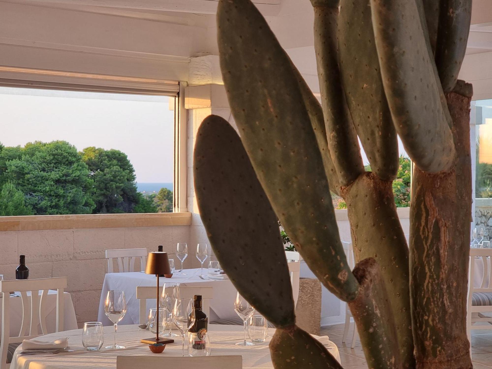 Masseria Bandino & Spa Otranto Zewnętrze zdjęcie